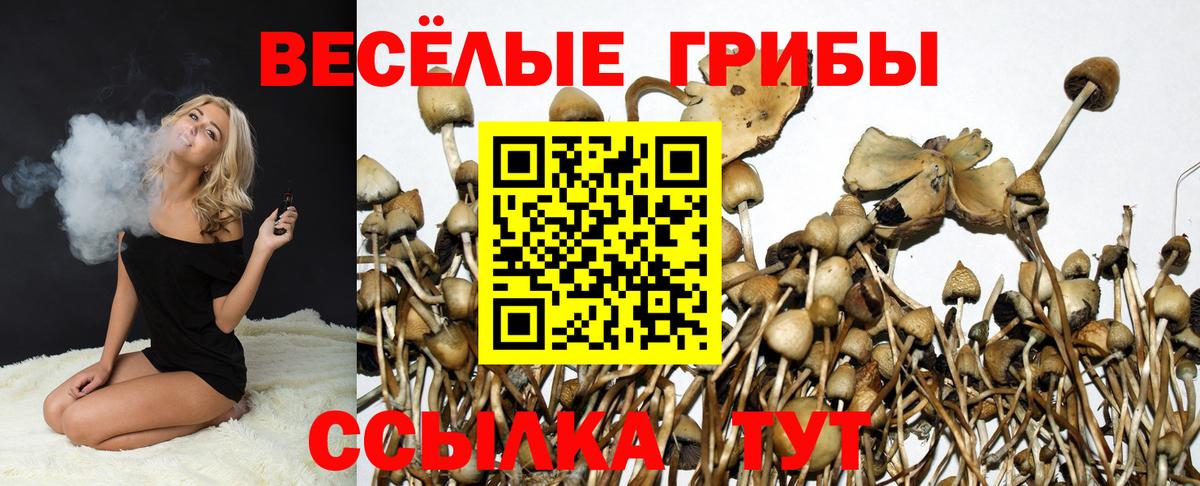 Псилоцибиновые грибы MAGIC MUSHROOMS Мурманск