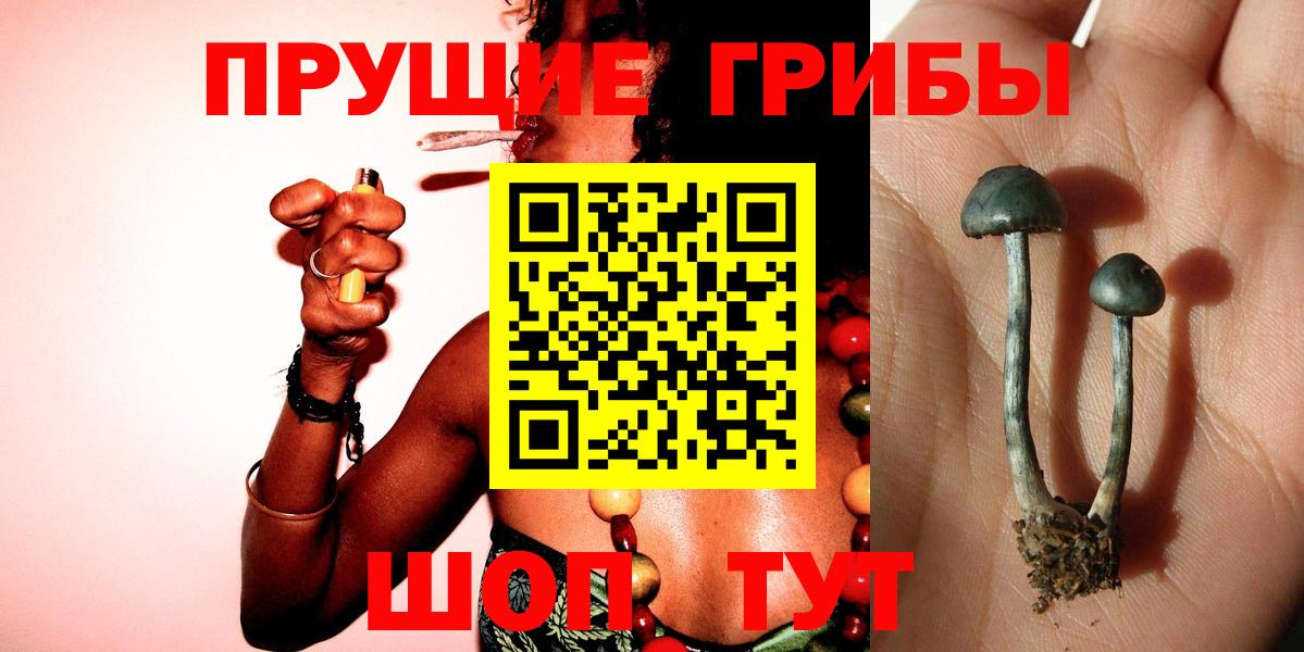 Галлюциногенные грибы мухоморы  Вход с VPN  Мурманск  закладка  Псилоцибиновые грибы Psilocybine cubensis 
