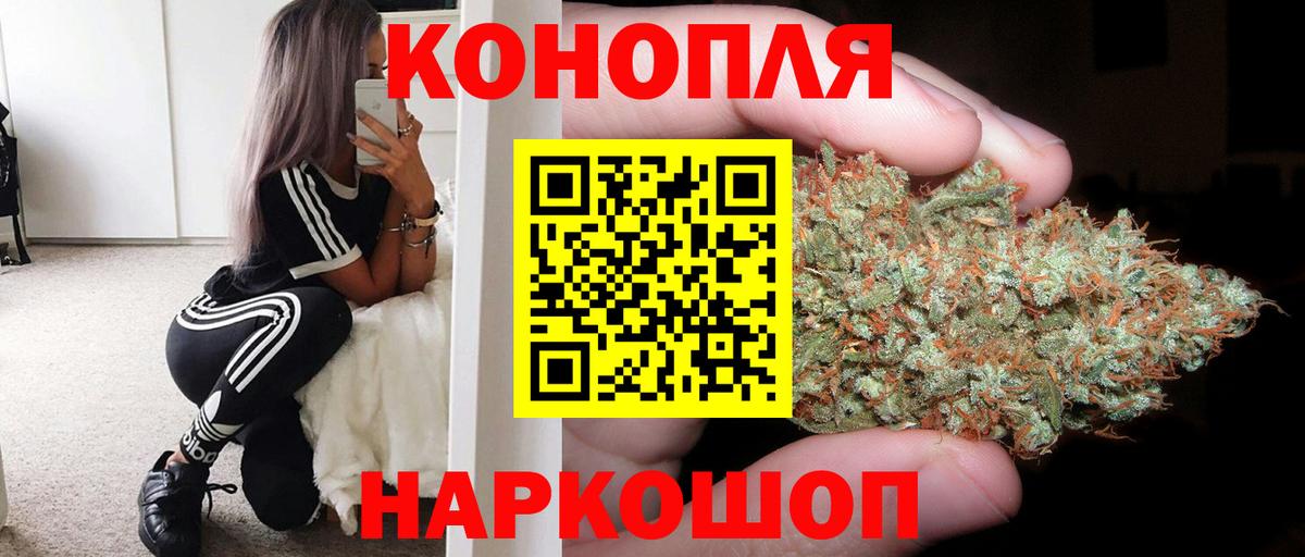 Шишки марихуана планчик  Вход с VPN  Канабис семена  Мурманск 